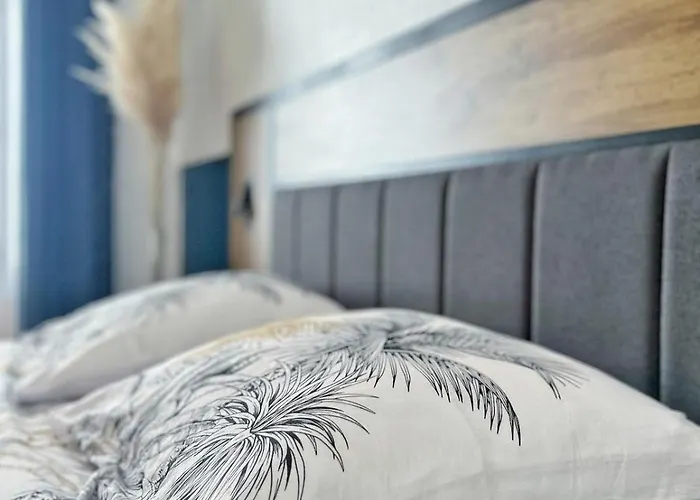 Lumineux Au Coeur Du Centre Historique Aurillac